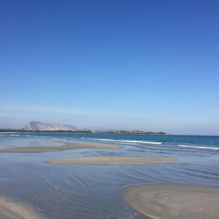 Hotel Al Faro Spiaggia La Cinta Santeodoro ซาน เตโอโดโร ภายนอก รูปภาพ