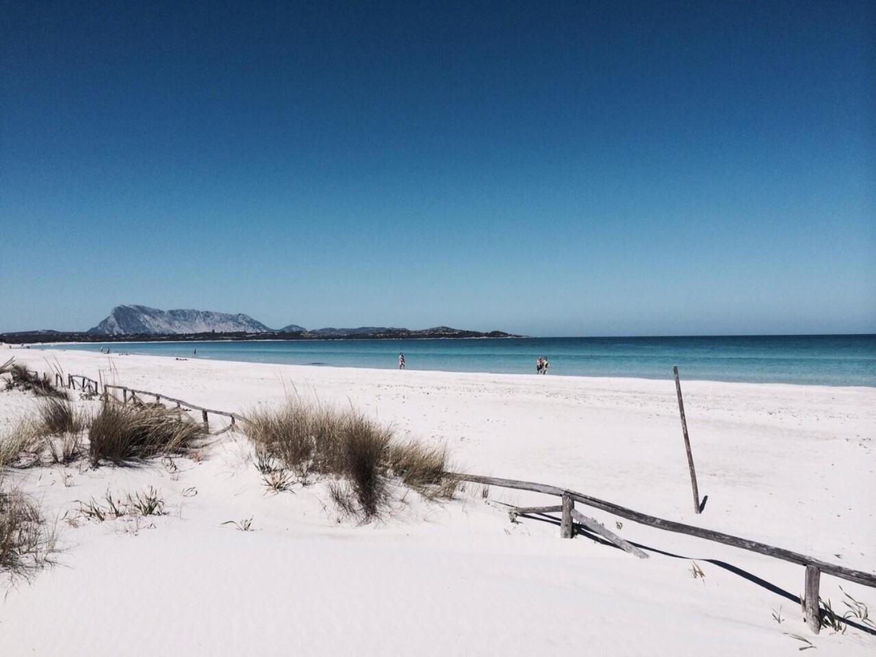Hotel Al Faro Spiaggia La Cinta Santeodoro ซาน เตโอโดโร ภายนอก รูปภาพ