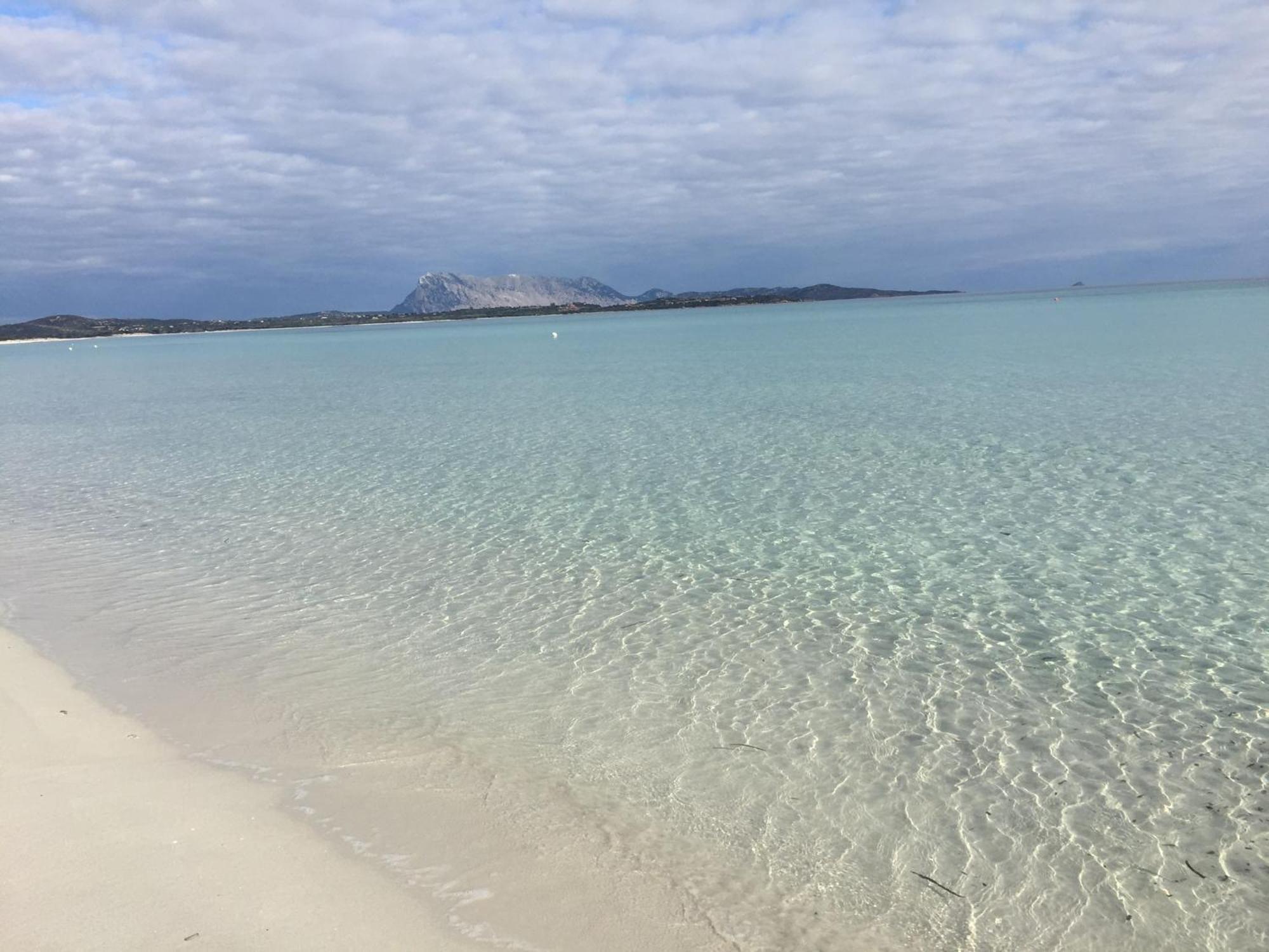 Hotel Al Faro Spiaggia La Cinta Santeodoro ซาน เตโอโดโร ภายนอก รูปภาพ